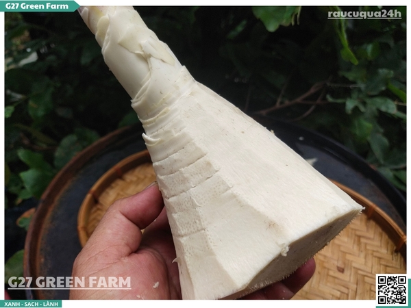 Măng tươi sơ chế