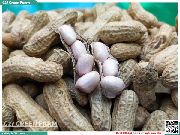 Đậu phộng tươi