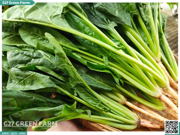 Cải bó xôi baby  300g