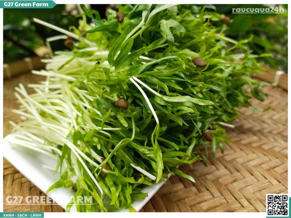 Rau mầm rau muống hạt