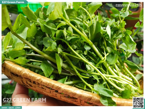 Rau Xà Lách Xoong (Watercress)