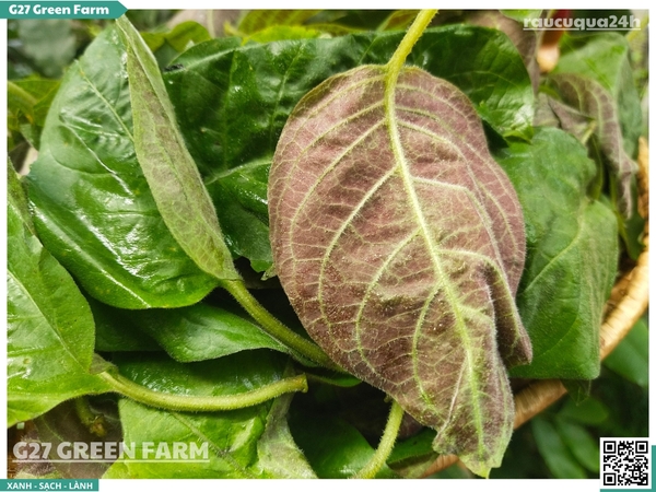 Lá mơ (lá mơ lông)