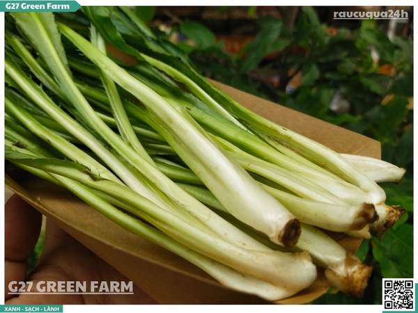 Ngò gai (mùi tàu)