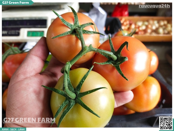 Cà chua beef 120g up