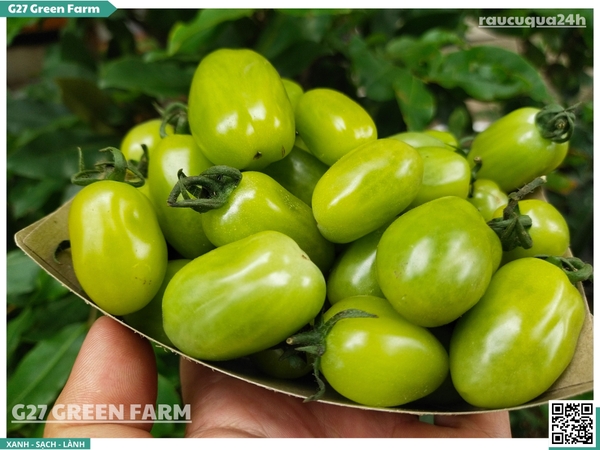 Cà chua cherry ngọc bích