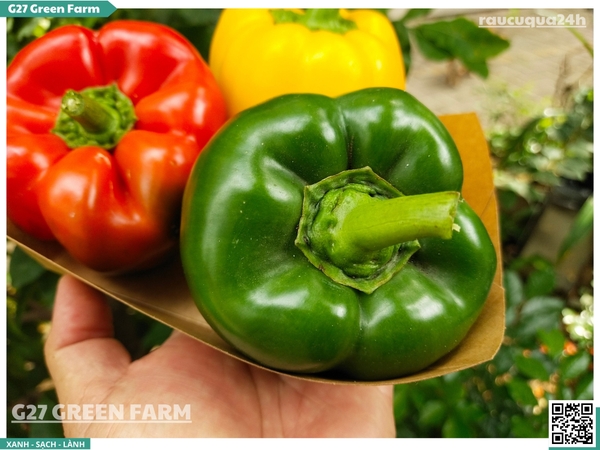 Ớt chuông 3 màu (mix đỏ, vàng, xanh)