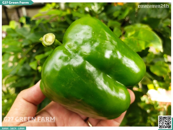 Ớt chuông xanh 120g up