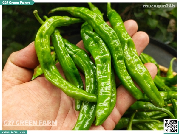 Ớt nhăn Hàn Quốc