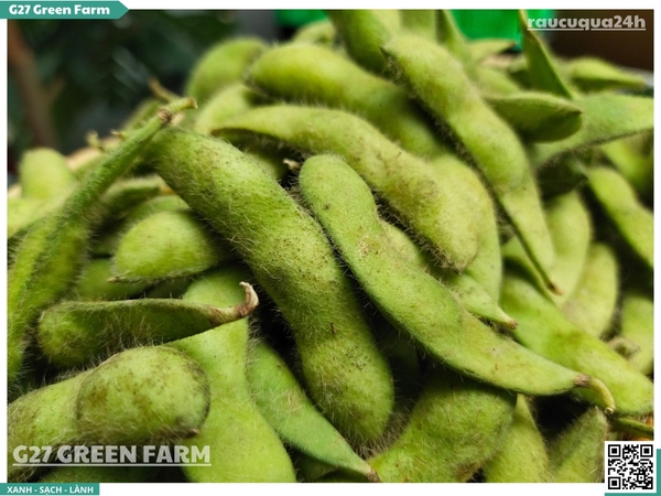 Đậu nành lông Nhật