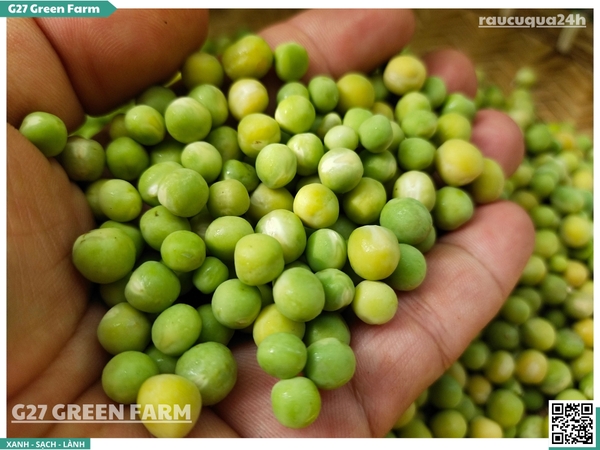 Đậu bo (đậu Hà Lan hạt) tươi