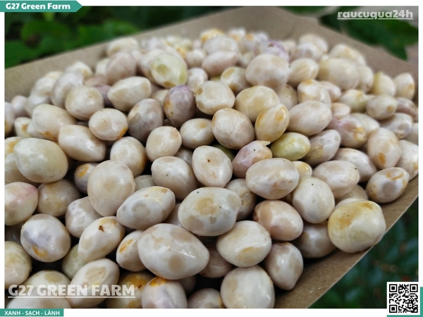 Đậu cúc rằn tươi