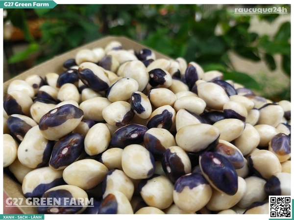 Đậu mắt ngọc tươi