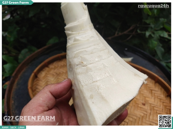 Măng tươi sơ chế