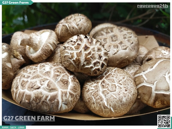 Nấm đông cô tươi