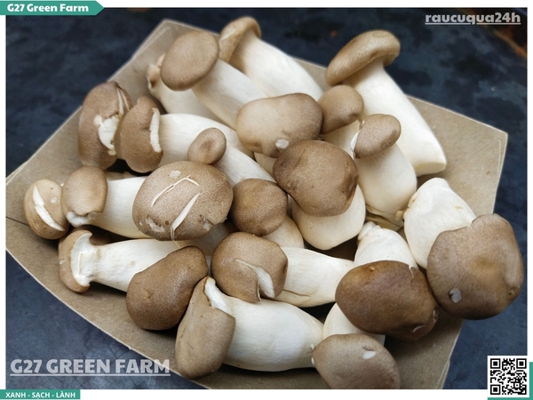 Nấm đùi gà baby