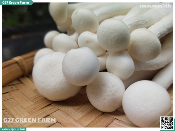 Nấm hải sản (nấm bạch tuyết)