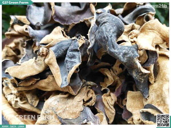 Nấm mèo (mộc nhĩ) khô