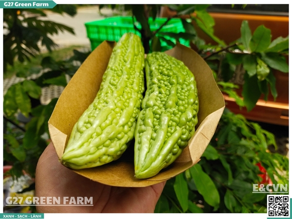 Khổ qua Đà Lạt