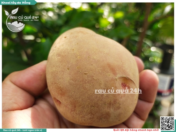 Khoai tây da hồng Đà Lạt
