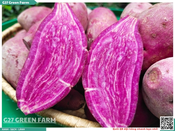 Khoai lang tím baby