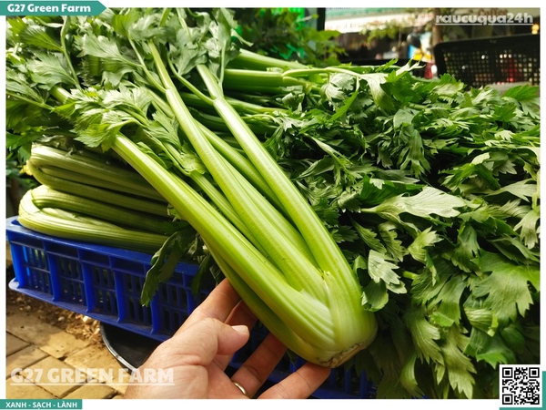 Cần Tây Đà Lạt (Bẹ lớn)