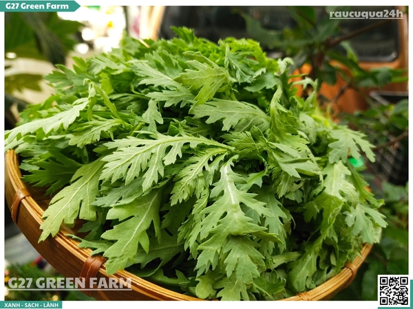 Rau tần ô (Cải cúc)