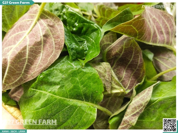 Lá mơ (lá mơ lông)