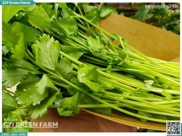 Cần ta (cần tàu)