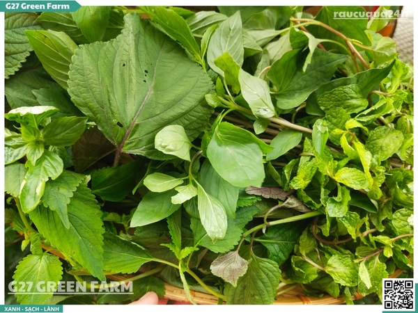 Rau thơm mix (tổng hợp)