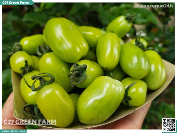 Cà chua cherry ngọc bích