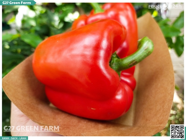 Ớt chuông đỏ 150g up