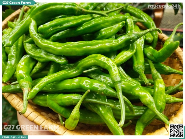 Ớt nhăn Hàn Quốc