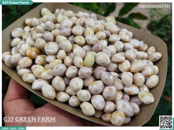 Đậu cúc rằn tươi