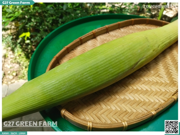 Bắp chuối bao tử (hoa chuối non)