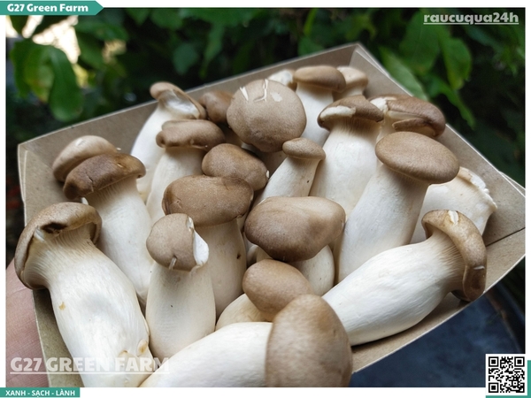 Nấm đùi gà baby 200g