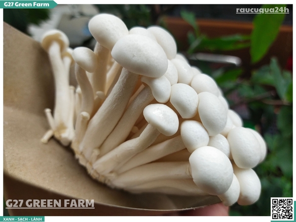 Nấm linh chi trắng 125g