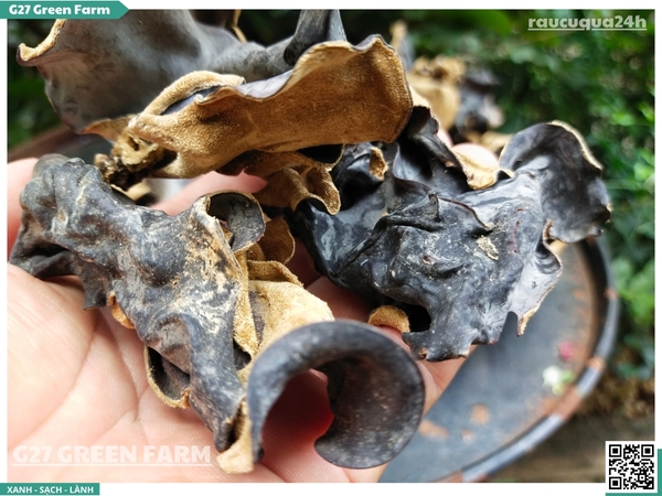 Nấm mèo (mộc nhĩ) khô 50g