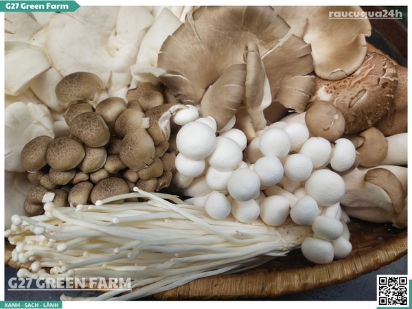 Combo nấm mix (nấm đủ loại)