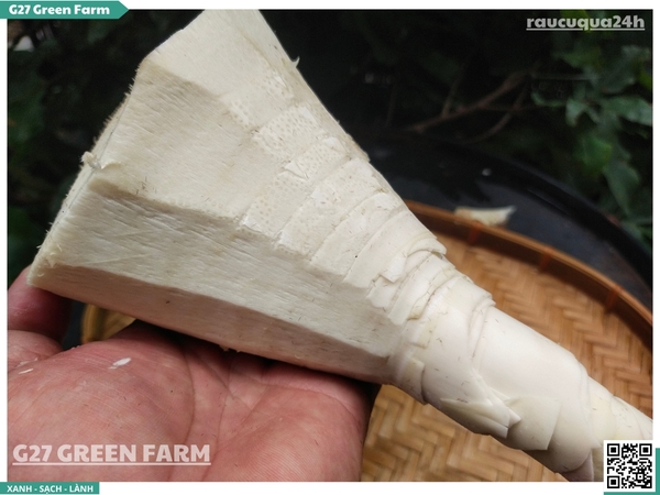 Măng tươi sơ chế