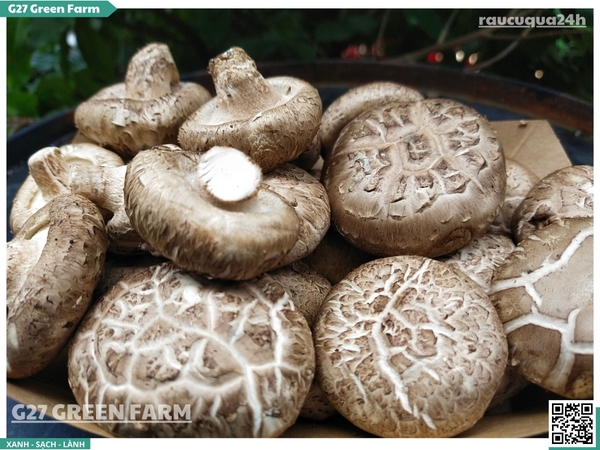 Nấm đông cô tươi