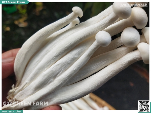 Nấm hải sản (nấm bạch tuyết)