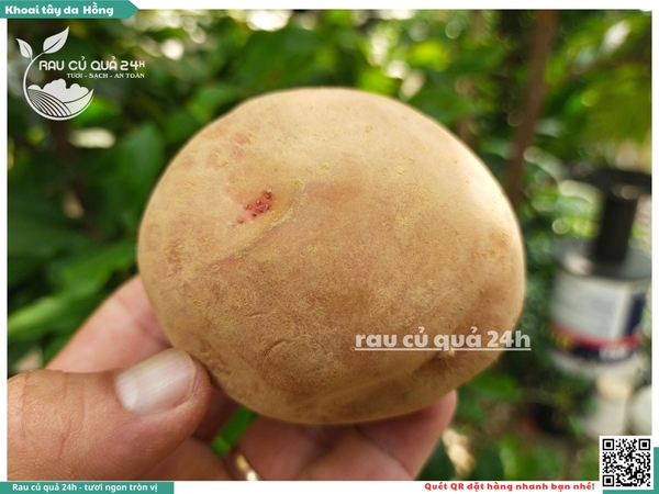 Khoai tây da hồng Đà Lạt