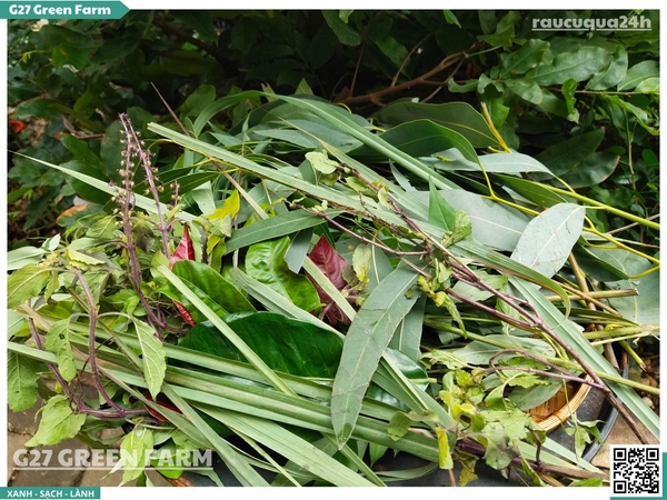 Sét lá xông giải cảm