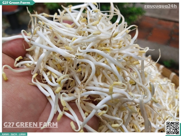 Giá mầm (giá đỗ) 150g