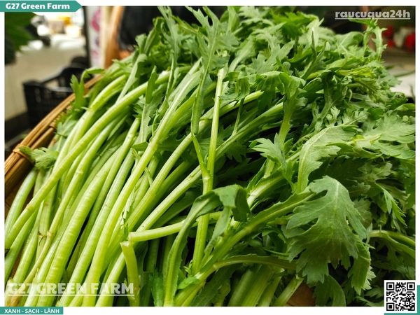 Rau tần ô (Cải cúc)