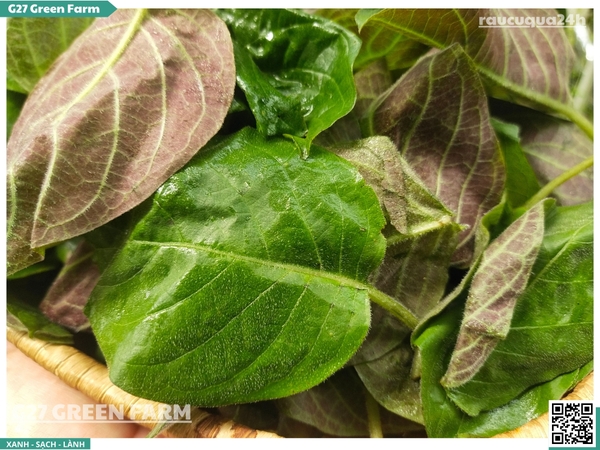 Lá mơ (lá mơ lông)