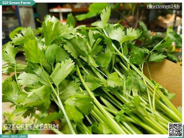 Cần ta (cần tàu)