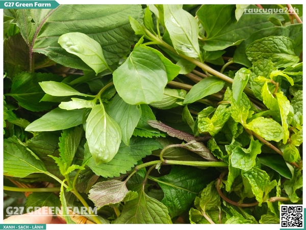 Rau thơm mix (tổng hợp)