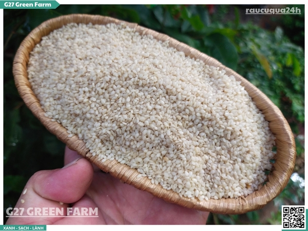 Hạt mè trắng (hạt vừng trắng)