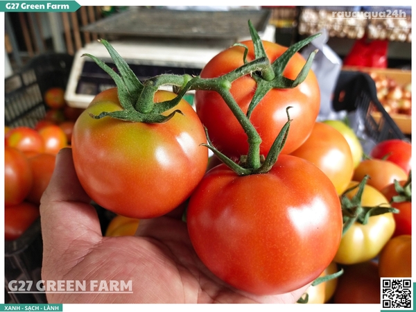 Cà chua beef 120g up